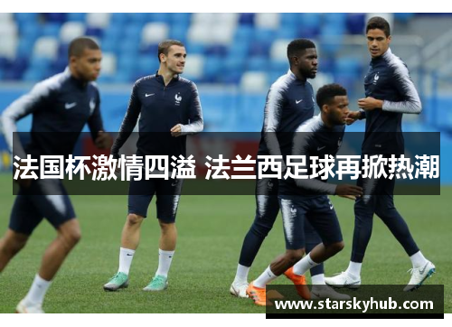 法国杯激情四溢 法兰西足球再掀热潮