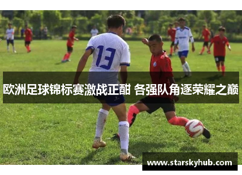 欧洲足球锦标赛激战正酣 各强队角逐荣耀之巅