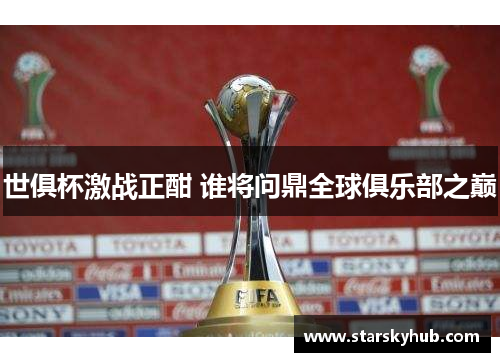 世俱杯激战正酣 谁将问鼎全球俱乐部之巅