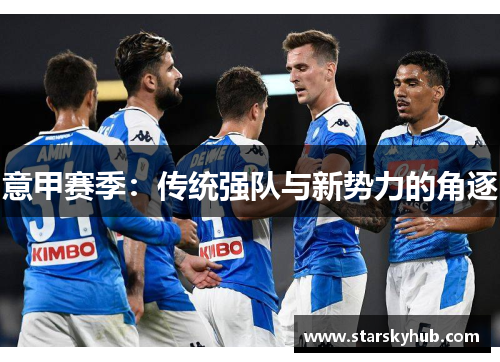 意甲赛季：传统强队与新势力的角逐